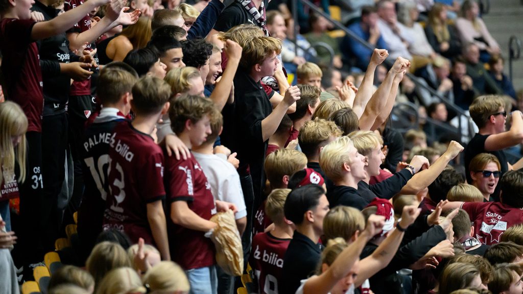 Sektion H LUGI handboll